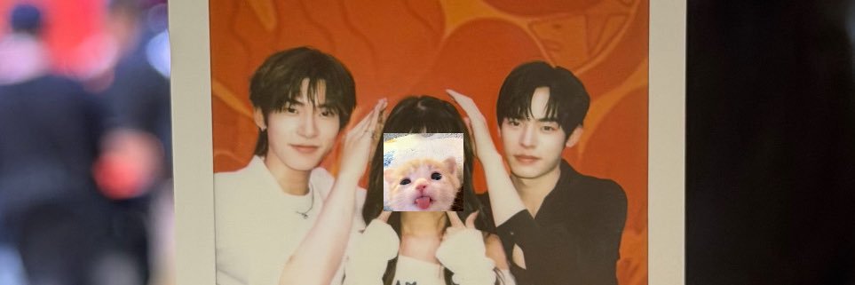 トイ🐈‍⬛'s banner