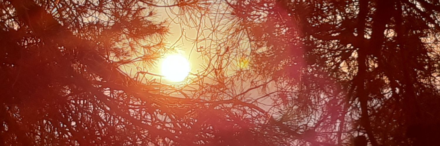 Nat's banner