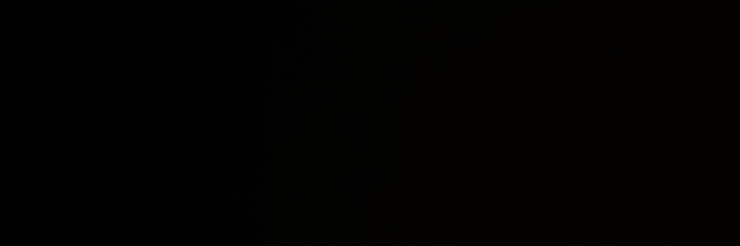 vliss's banner