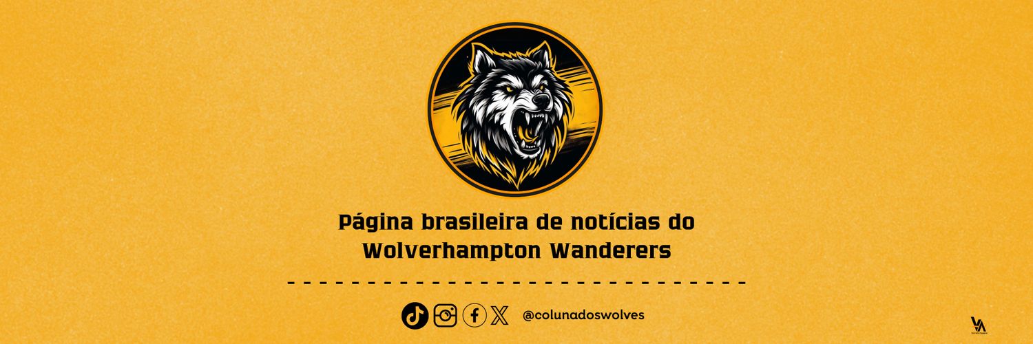 𝗖𝗼𝗹𝘂𝗻𝗮 𝗱𝗼𝘀 𝗪𝗼𝗹𝘃𝗲𝘀 🐺🇧🇷's banner