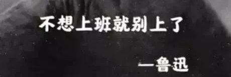 君子兰|Bird🕊️'s banner