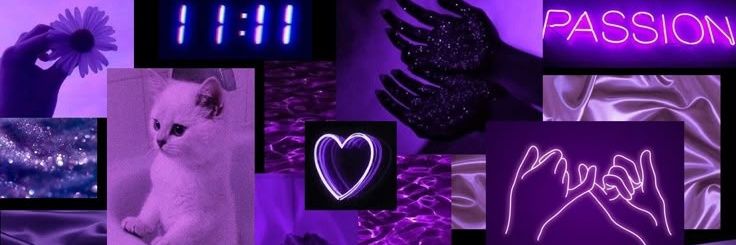 𝐾𝑖𝑟𝑎♡︎✯🐂💜's banner
