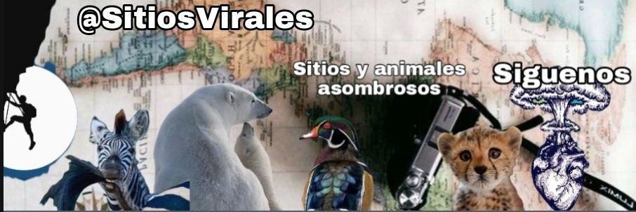 Sitios's banner