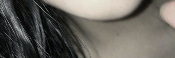 Luna's banner