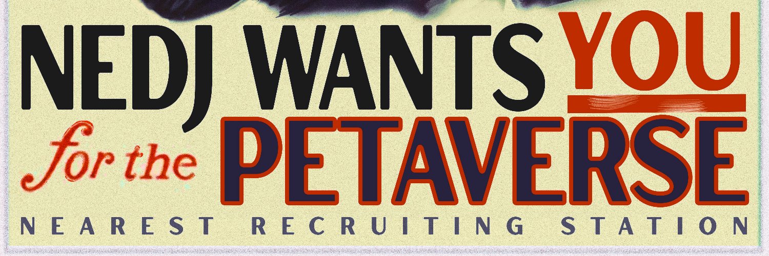 Petaverse Network's banner
