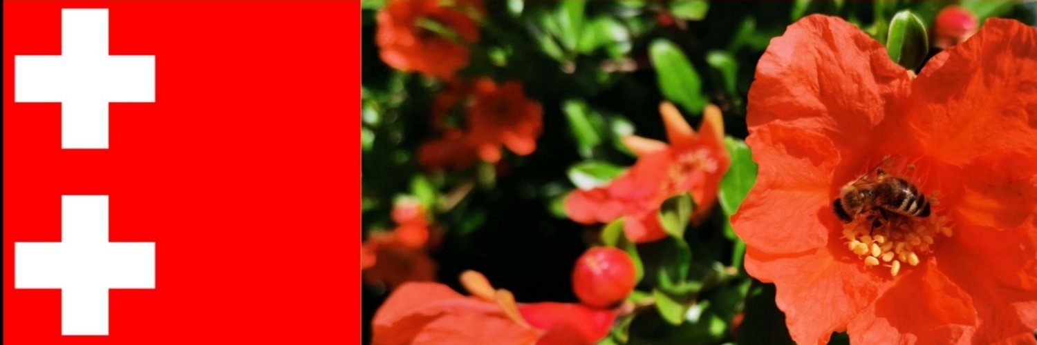 ДражаМ's banner