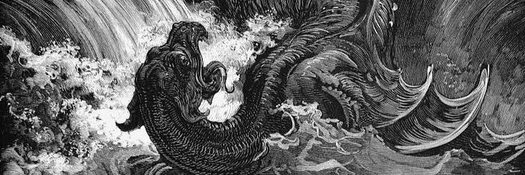 𝑺𝒊𝒆𝒊𝒓𝒂 🐉's banner