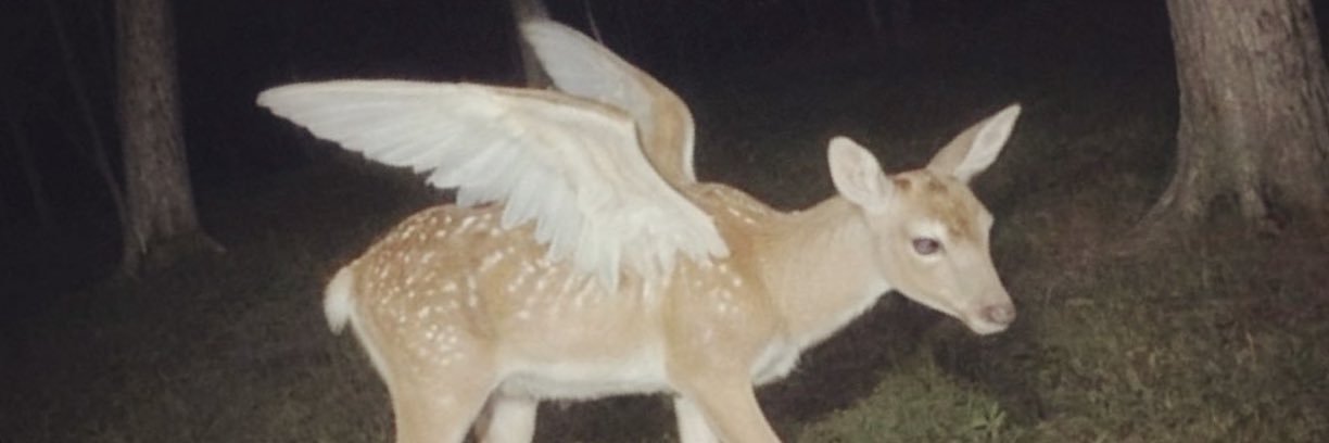 ɪ ᴠ ᴀ ᴀ ɴ ★ ᴍ ᴀ x x x's banner
