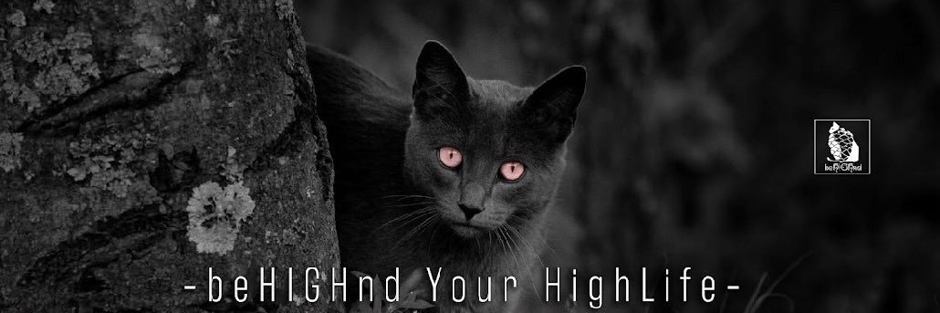 beHIGHnd's banner