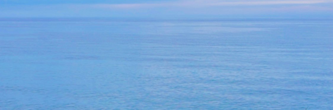 Gülcan Tarımoğlu's banner