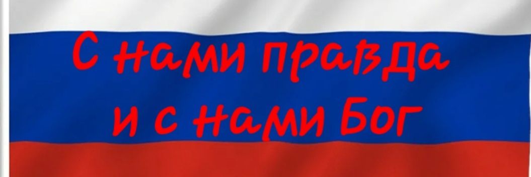 Наталия Родина Z.O.V. ⚖'s banner