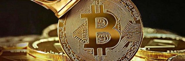 CryptoFigure's banner