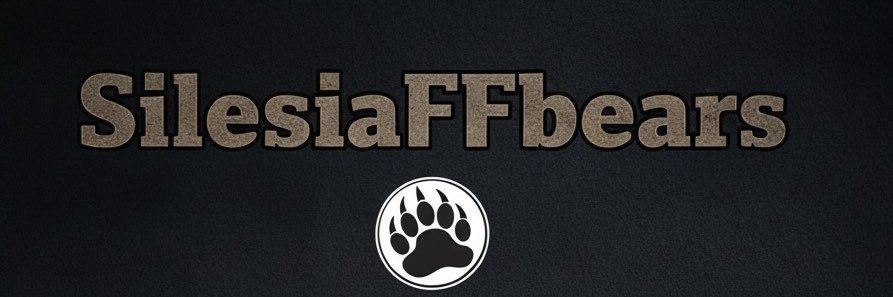 Silesia FF BEARS's banner