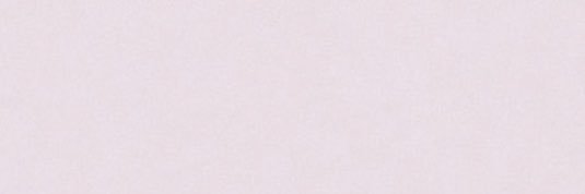 vanessa's banner