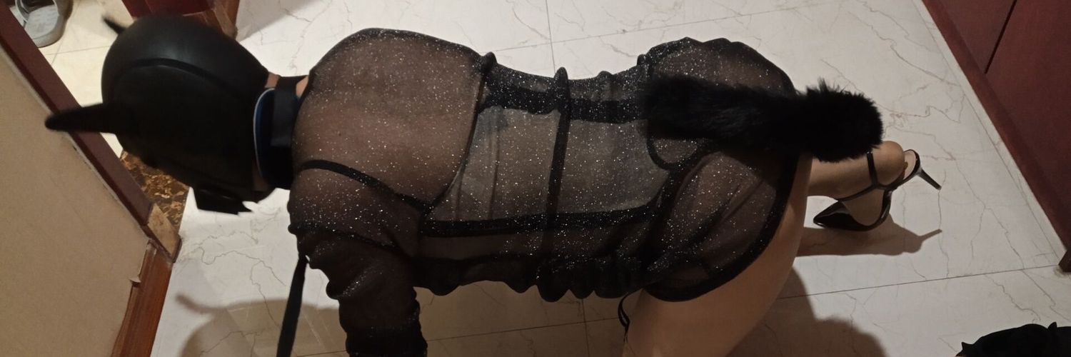 Sissy婷儿酱's banner