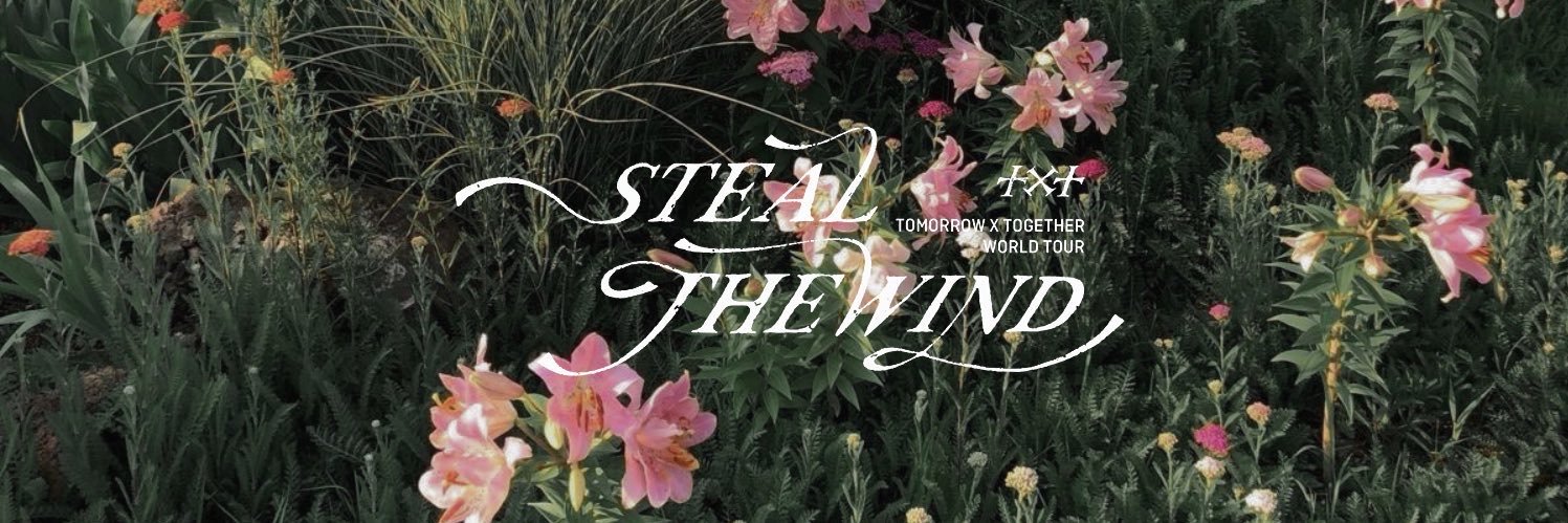 ‎ . ݁⋆ lishie 🌷 ݁˖ . ݁'s banner