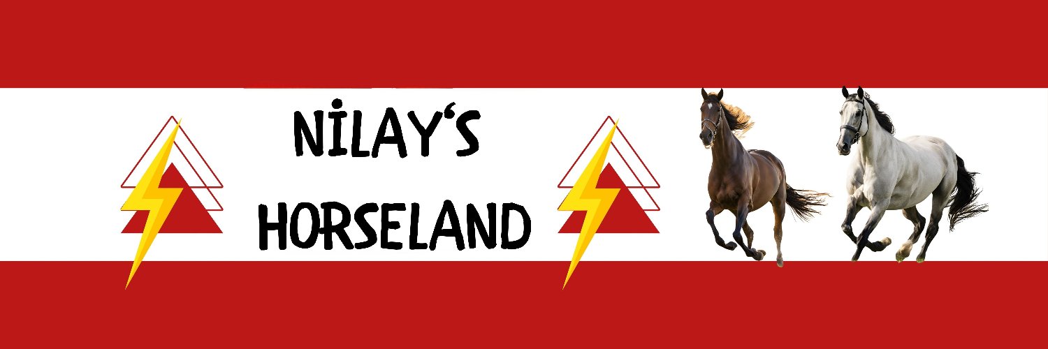 Nilay Şimşek's banner