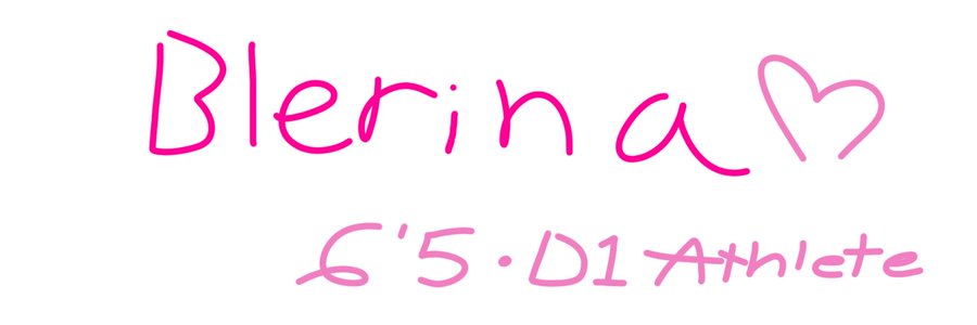 Blerina's banner