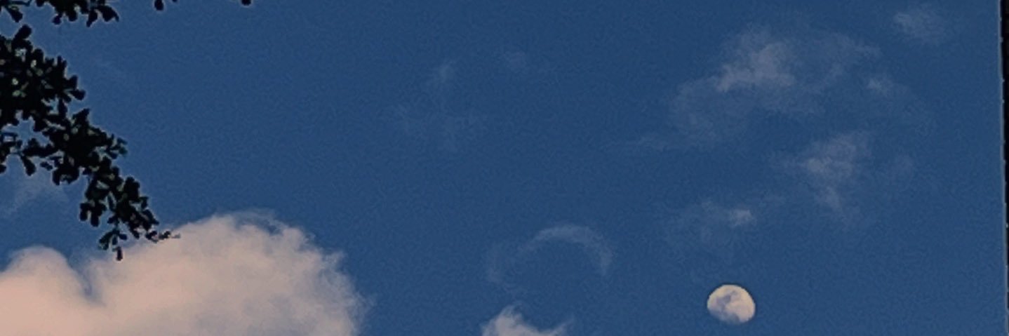 1437's banner