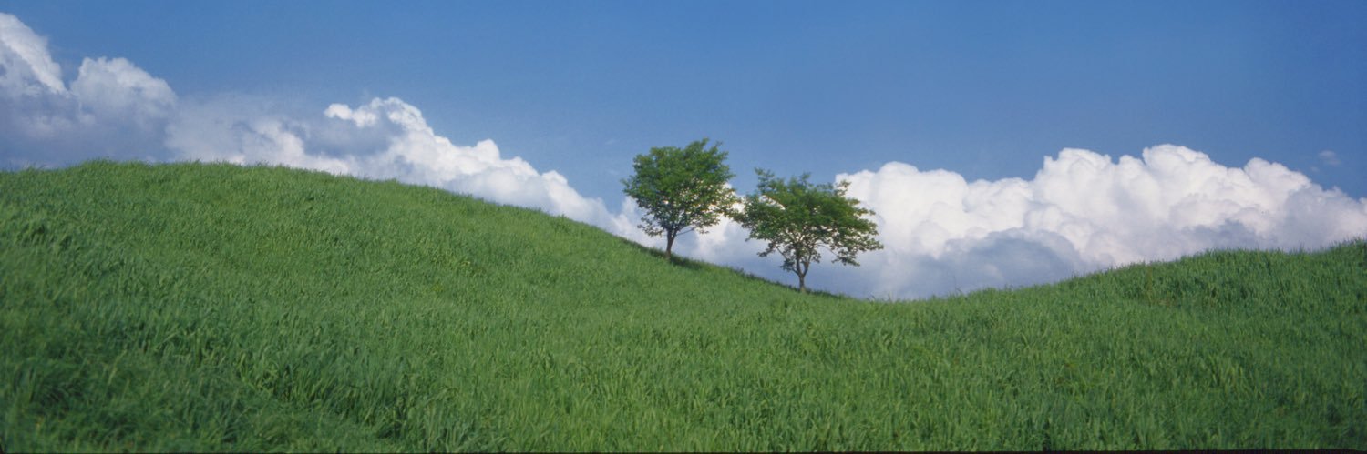 はるはる@'s banner