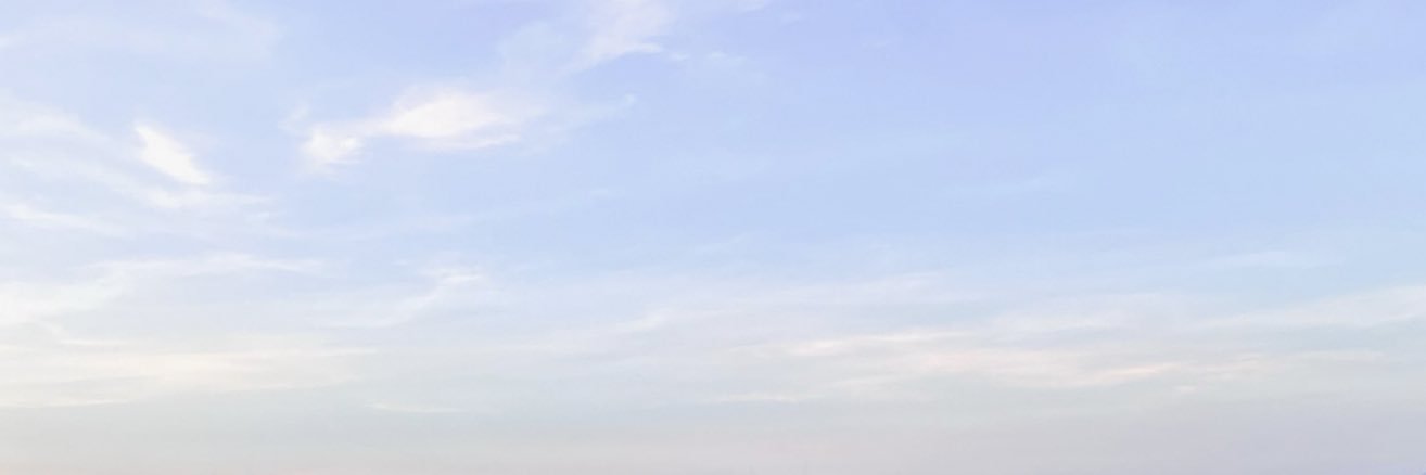 BEY's banner
