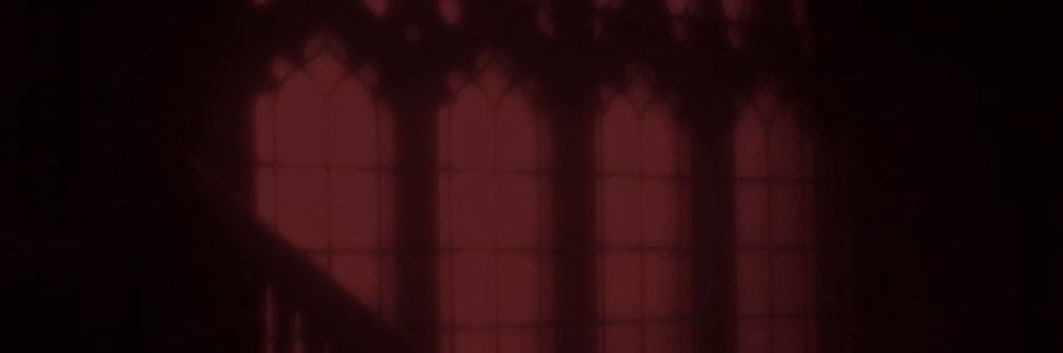 戌田ぬい@映像制作's banner