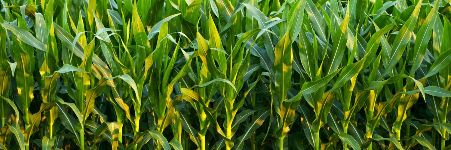 Crop Science Canada's banner