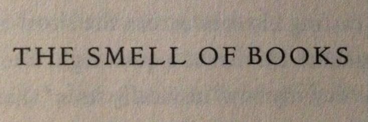 mariarita 🪶 the quiet one; bridgerton era's banner