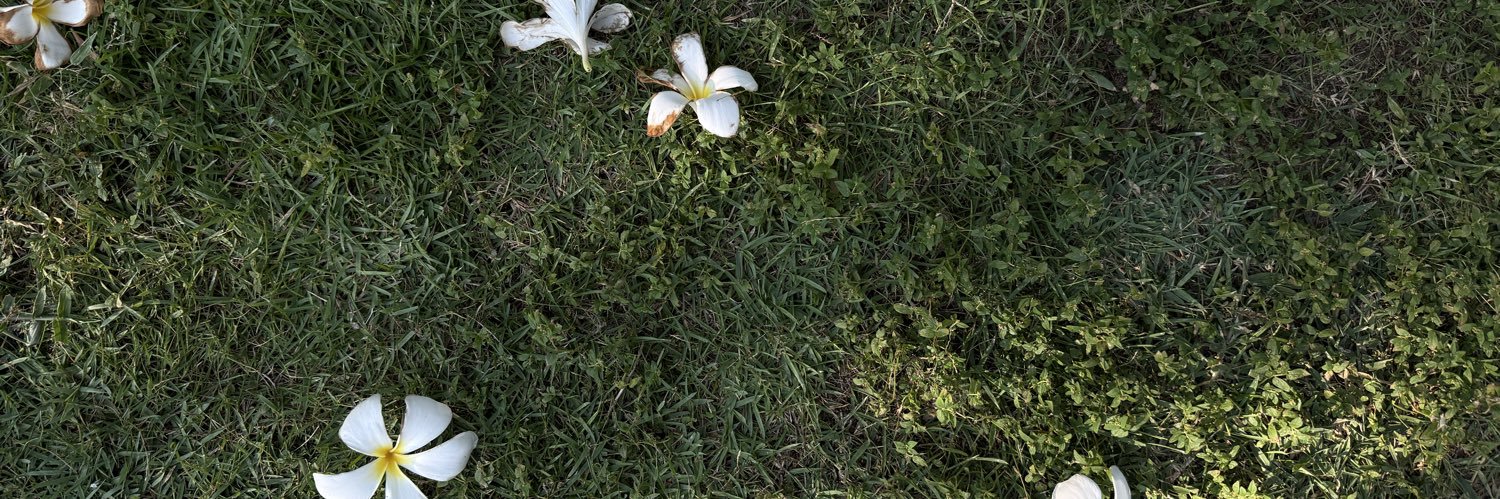 mai's banner