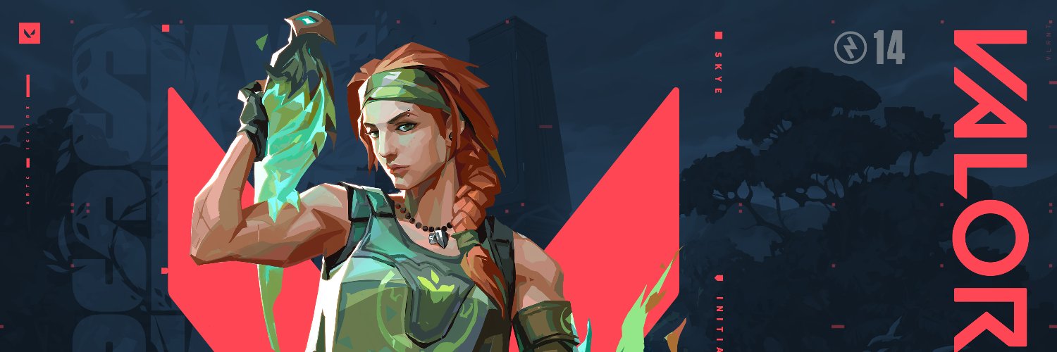SkValo's banner