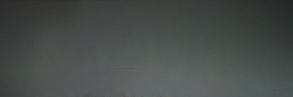 Halle Bailey Legion 🪽's banner