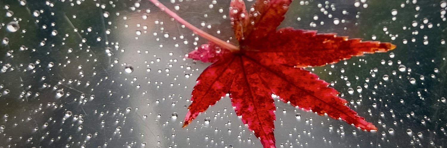 Meredeleo🇨🇦's banner
