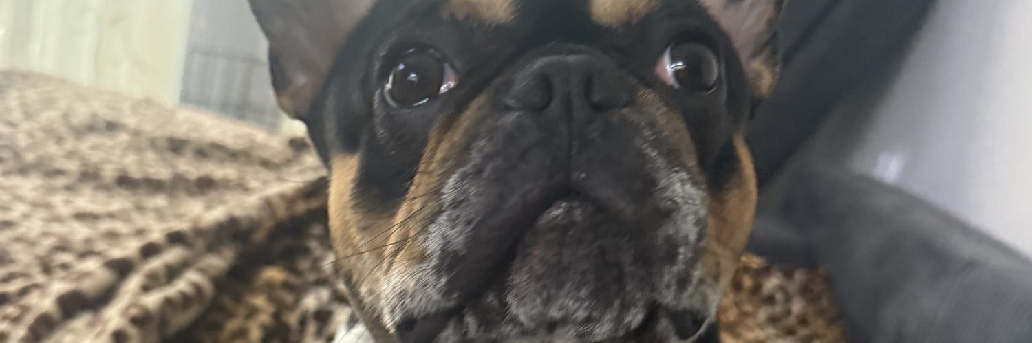 lola's banner