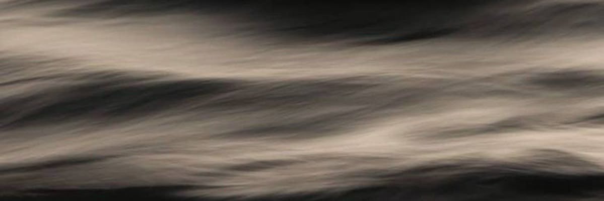 binee's banner