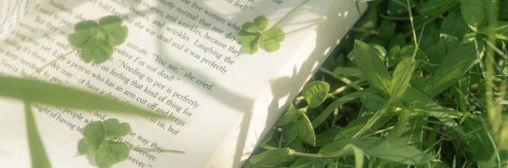 reese's banner
