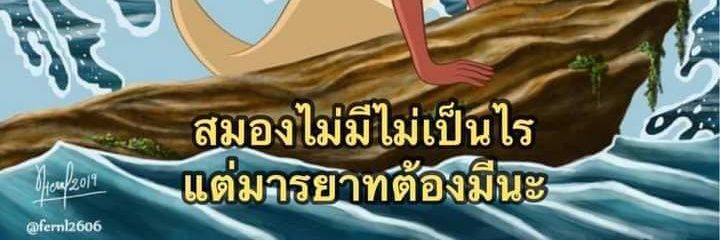 ใบเฟิร์น❤️'s banner