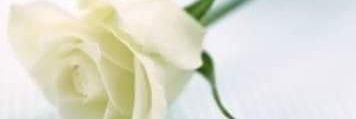 สามันคนไร้ค่า's banner