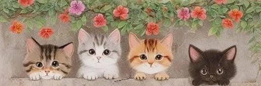 躲猫猫5.0's banner