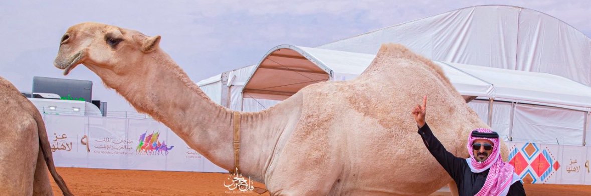 فهاد بن محمد بن جخدب's banner