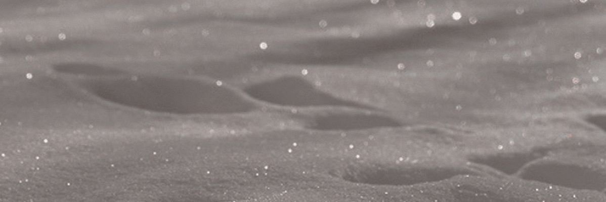 liv.'s banner
