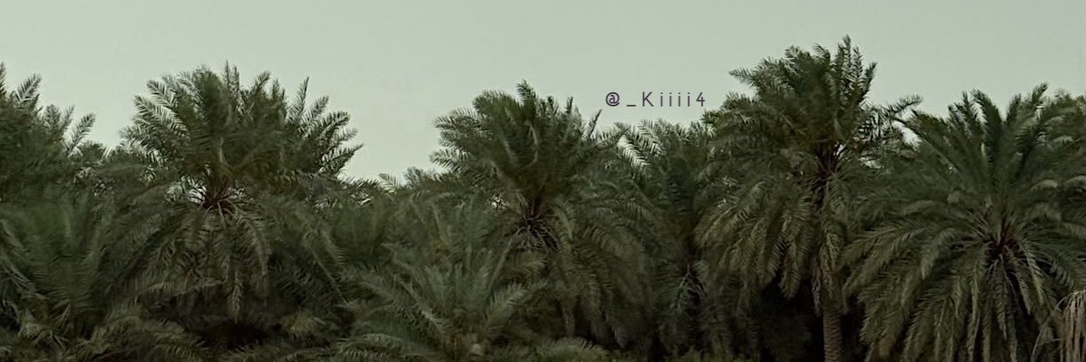 كيندر •'s banner