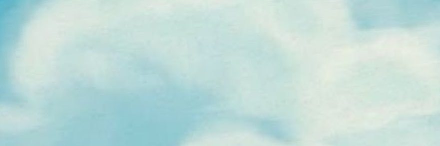 شَ's banner