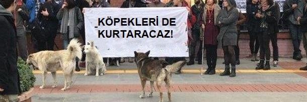 Türk'üz Türk'çüyüz Atatürk'çüyüz 🇹🇷's banner