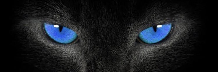 YT: Its Pretty Kittie's banner