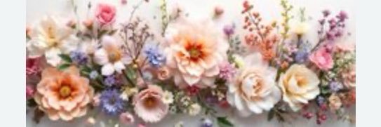Missellie's banner