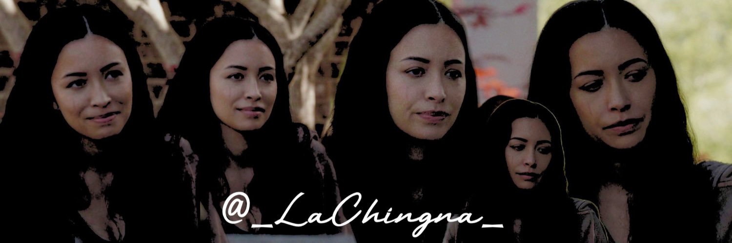 ➳Espi͜͡ɳσsɑ hiatus's banner