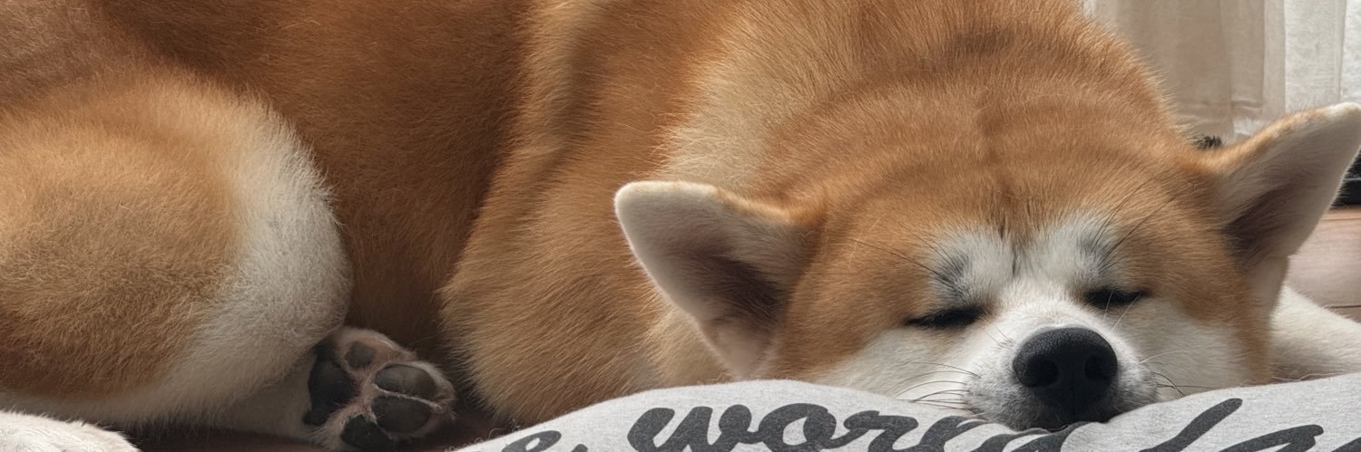 秋田犬あさひ akitainu asahi's banner