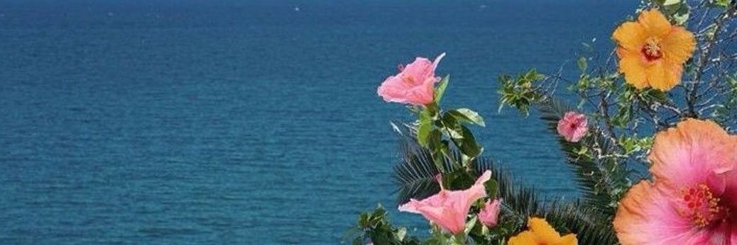 ℳ ❤︎'s banner