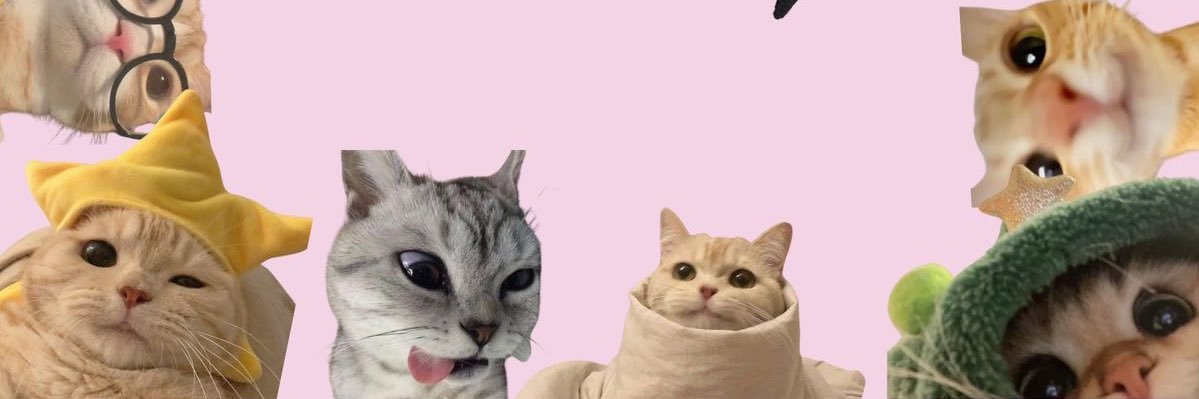 Jesslyn Elly's banner