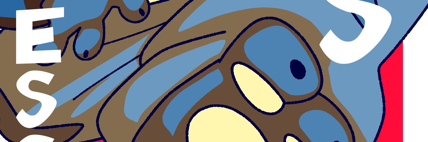 🔞 Raccoon Loser 🔞's banner